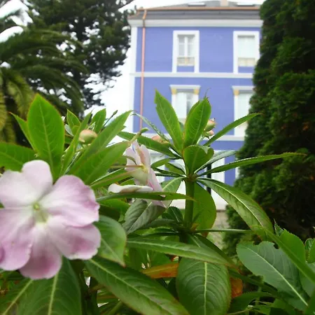 Gastronomico Araucaria