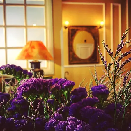 Gastronomico Araucaria