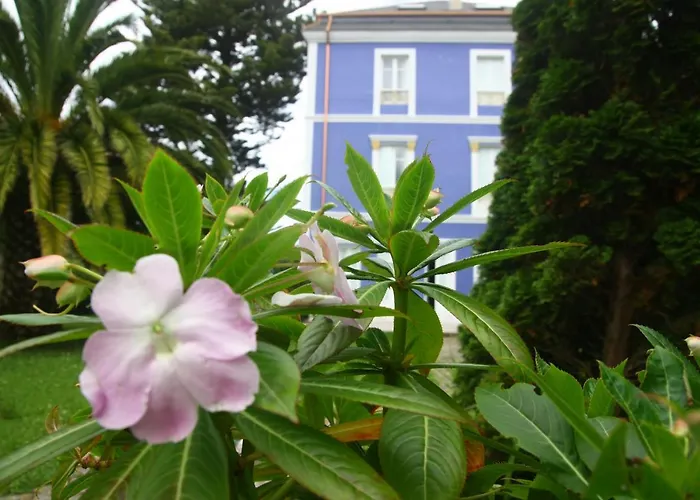 Gastronomico Araucaria