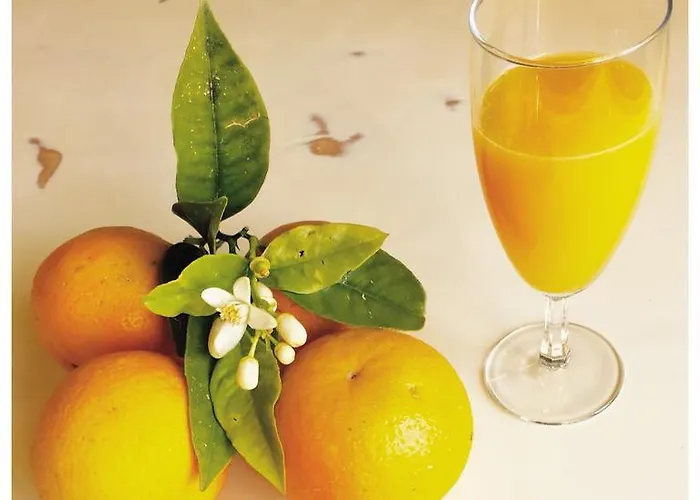 Gastronomico Araucaria Ribadeo